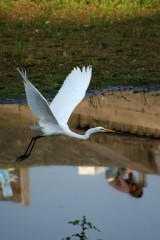 カウンセリングの勉強会にいってきた。