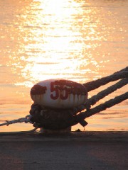 わらっていたいね。