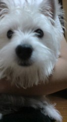 うんざりデスヨ･･･