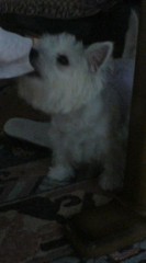 レポートの山･･･