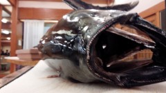 【お題日記】GWに撮った思い出の一枚を見せて!