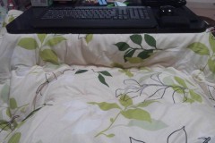 そろそろおコタな季節かな？