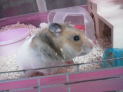 悩んでます（どーでもいいことだけど・・・・・。）　(#｀▽´)y-ﾟﾟﾟ ｳｹｹ