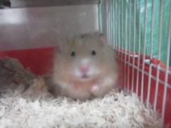 【お題日記】ずばり！どんな人がタイプですか？