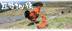 【お題日記】顔出さないで自捕り写メに挑戦！