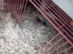 【お題日記】あなたは何を見ると泣けますか？