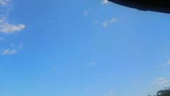 久しぶりに晴れた