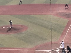 スポーツ観戦のデートはどう？