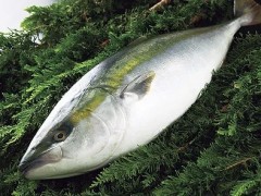 フードファィターになれたら何を爆食いしたい？