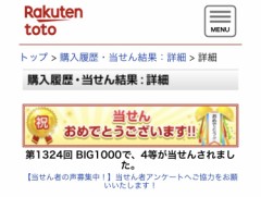 もしもMEGA BIGが当たったら？