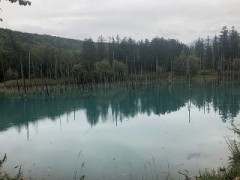 レンタカー・レンタルバイク利用経験ある？