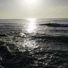 【お題日記】職場で下ネタ聞こえてきたことある？