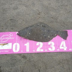 【お題日記】ラブホをH以外でも利用する？