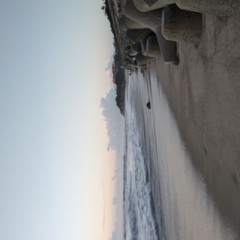 やはりサーフでしょ？