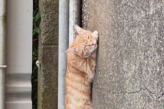 文字を書くのも読むのも