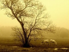 ホント秋ですけど・・・