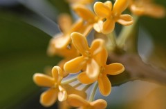 おぉ！秋空・・・