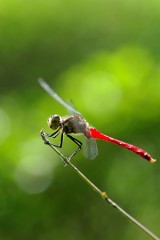 爽やかな朝・・・