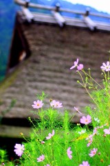 気怠い～火曜日・・・