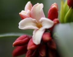雨まで降って・・・寒い・・・