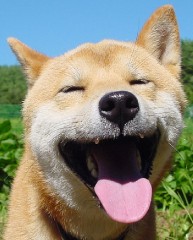 夏本番！　やはり今日も暑いなぁ～