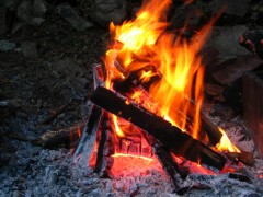 寒い・・・寒すぎる・・・