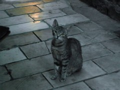 －１℃　今日は涼しいらしい・・・