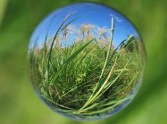 今日は素晴らしい秋空なんだなぁ～