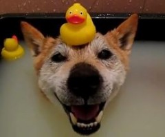 春雨と言うには激しすぎる・・・