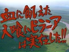 なんでやねん！