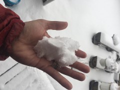 【お題日記】給料日まで待てない!!と思ったことある？