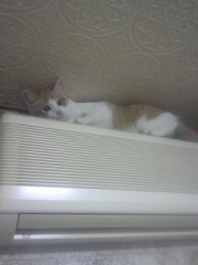 ちゅぱちゅぱッて。