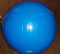 もう1週間たった～( 一一)