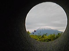 今晩の楽しみがフイになった