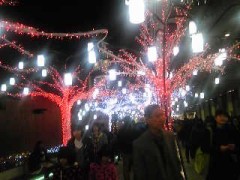 忘年会シースン開幕