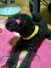 (´‐ｪ‐｀)ﾊﾌﾝ