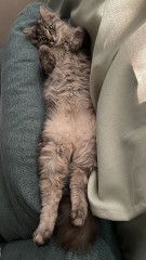 【お題日記】ホラー映画って好き？