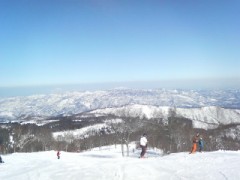 ログってすごいですね