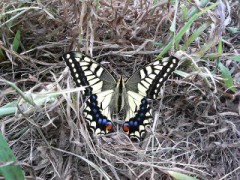 心身満ち足りた日々を送りたい