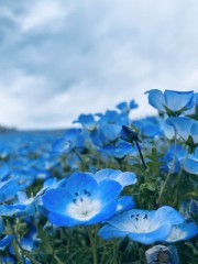 【お題日記】パートナーのお手伝いしてる？