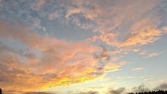 薬屋じゃないけどひとりごと　其の弐