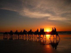 Airlybeach in Australia