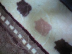 ミステリーサークル