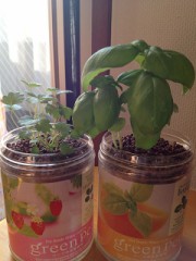 グリーングリーン