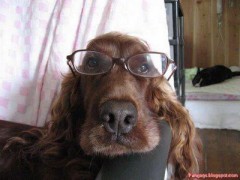 【お題日記】田舎暮らしをしてみたいですか？