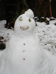 （￣□￣；）！！朝起きたら真っ白だった・・・。（一