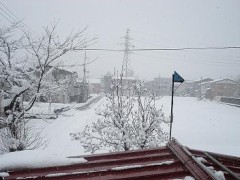 月曜日から・・・・。雪で外が凄い事になってる・・・