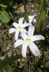 ぼーちゃんの所にも春がきたよぉ～～