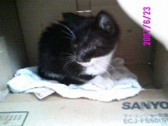 一昨日ね・・・