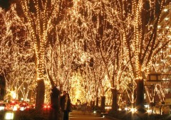 【お題日記】普通はイヤ？普通になりたい？